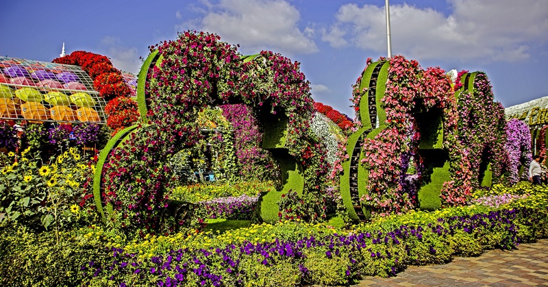 Dubai Miracle Garden