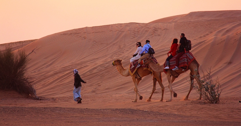 Dubai Safari